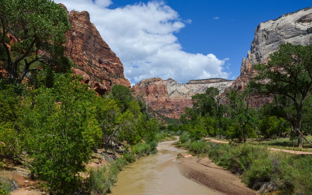 Tragedy Canyoneering in Zion National Park